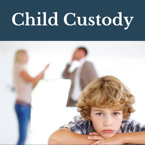 Michigan Child Custody Family Law Attorney