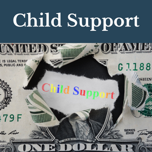 Michigan Child Support Family Law Attorney