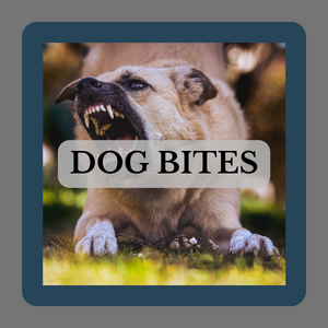 Michigan Dog Bite Attorney
